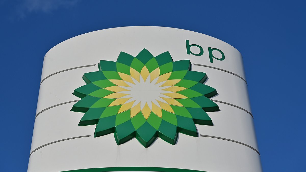 BP halts share buybacks as it takes £3bn hit from green energy push