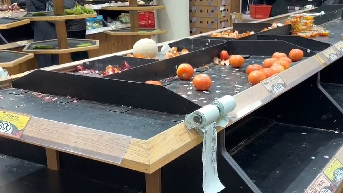 Texans told it may be FIVE DAYS until they can leave homes as deadly 2000-mile 'ice zone' engulfs America