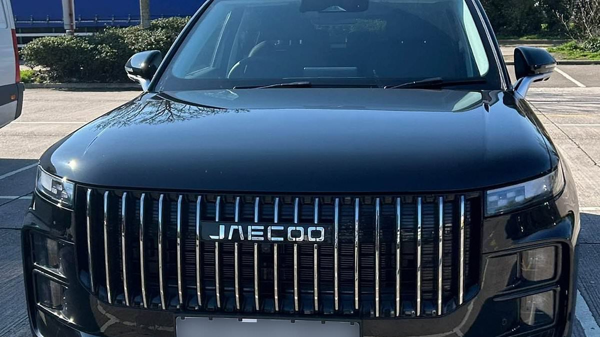 Man calls for £35,000 'Temu Range Rovers' to be banned after his two-week-old car stopped suddenly on 60mph road while driving son to nursery