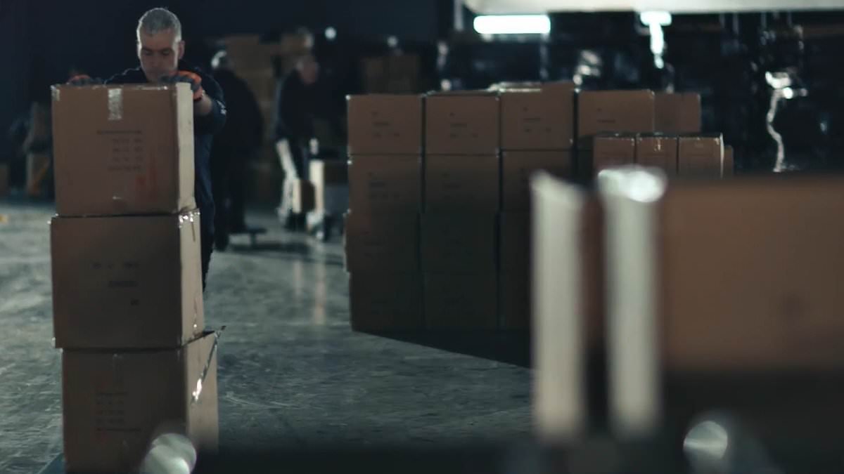 CHRISTOPHER STEVENS reviews last night's TV: So how did 35,000 Chinese zombie knives get past customs officers?