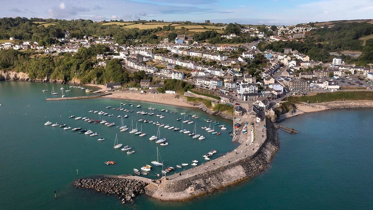 Families in Welsh seaside town raise £6,000 to mount legal challenge stop 30 affordable homes being built amid fears 'people from Birmingham' could move in