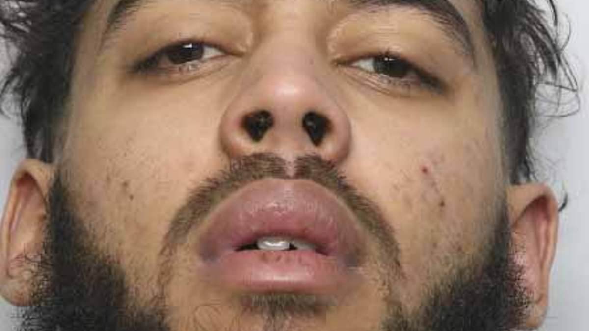 Moment brazen shoplifter steals luxury clothes from All Saints during £3,800 crime spree - as he is jailed