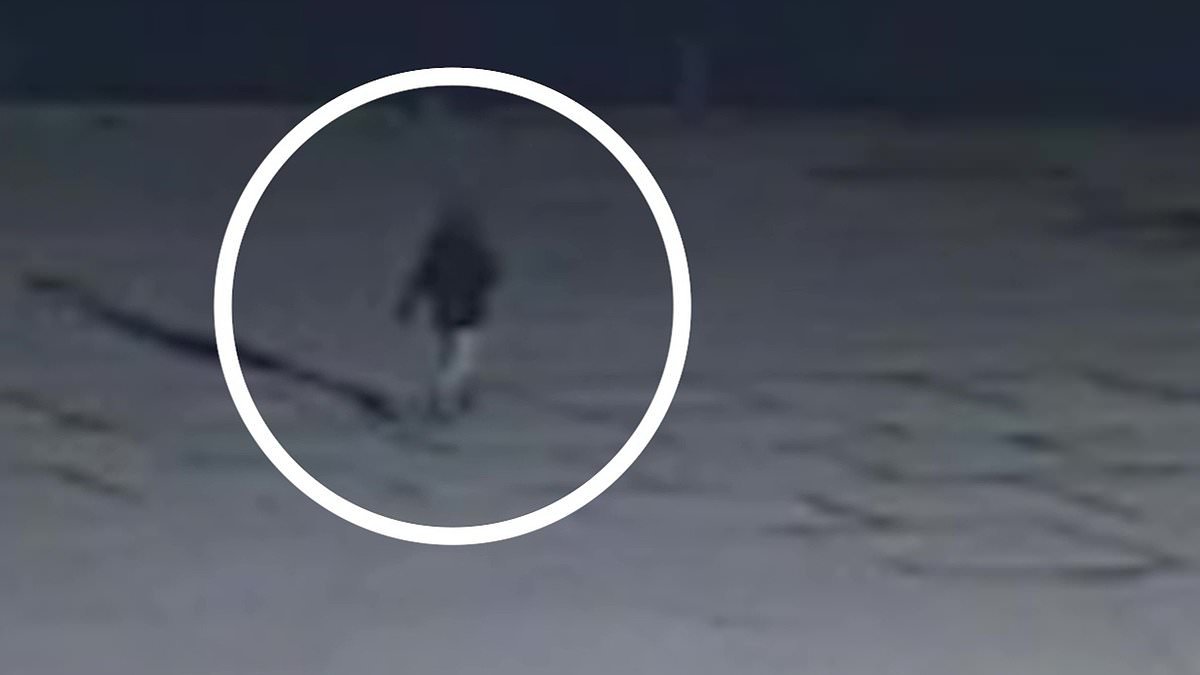 New CCTV final sighting of academic from Brazil who was reported missing in Essex four weeks ago is revealed by police