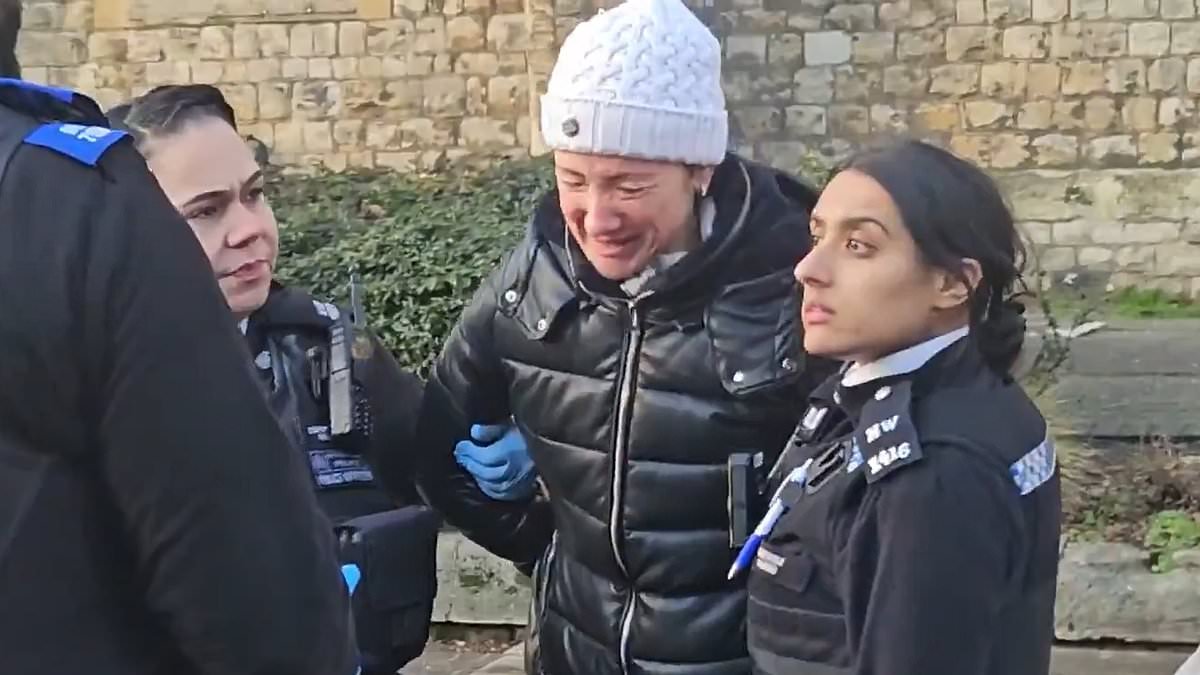 Moment woman is handcuffed by police and fined £100 'for feeding pigeons' in London