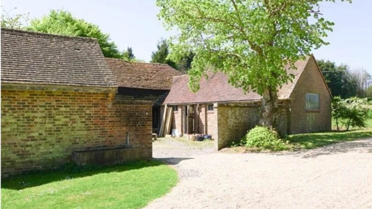 Knowing me, Knowing newt! Alan Partridge star Steve Coogan's plan to upgrade his £4million home could be foiled by annoying amphibian