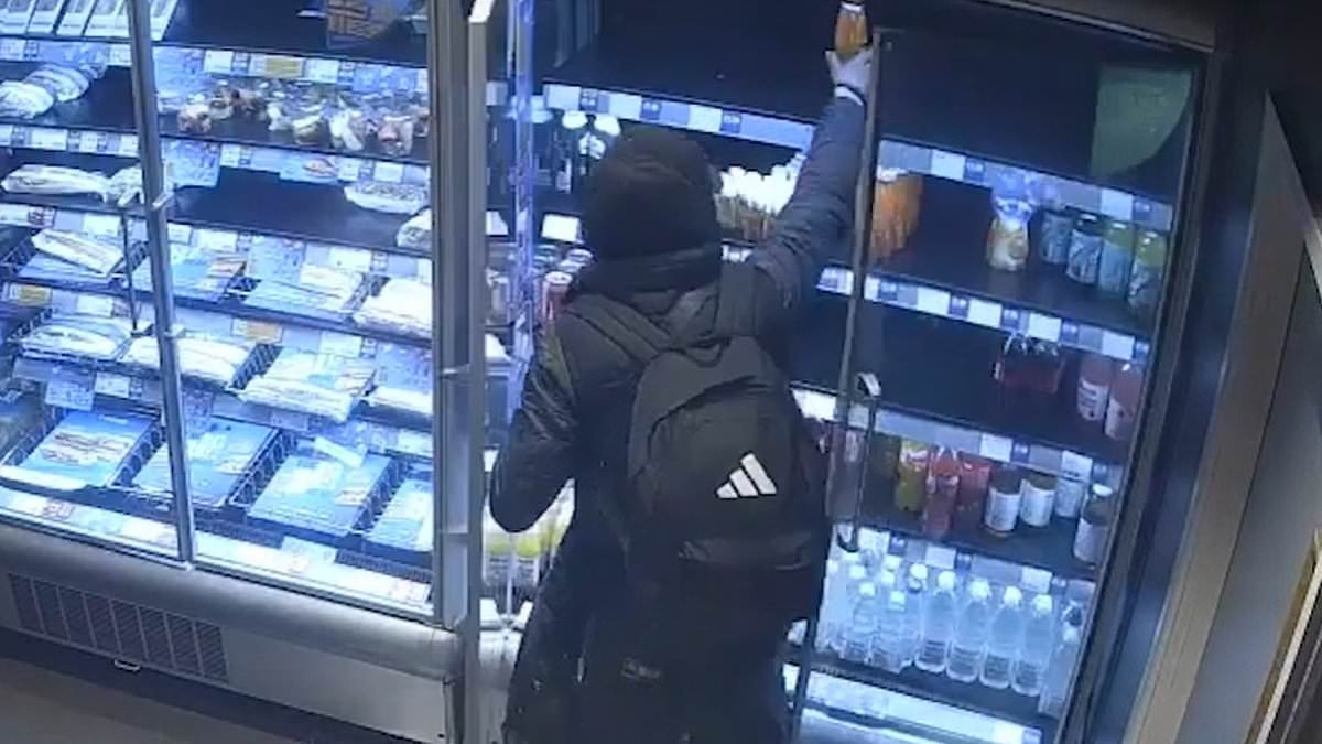 Thousands of the UK's most prolific shoplifters are 'set to avoid jail under Labour plans' - as stores brace for more mob chaos and supermarket chief calls for guards to be given pepper spray and truncheons