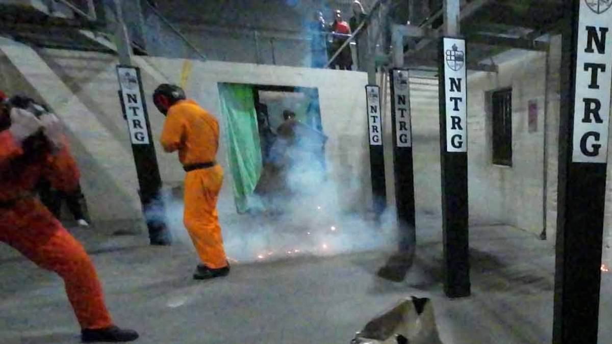From jailhouse riots to hostage scenarios and terror attacks: RORY TINGLE spends the day with Britain's elite prison tactical response unit training for high-stake situations