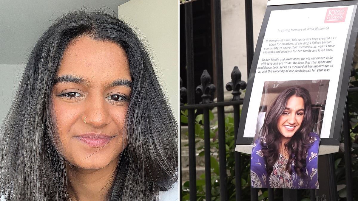 Van driver admits killing university student after crashing into her outside King's College London campus