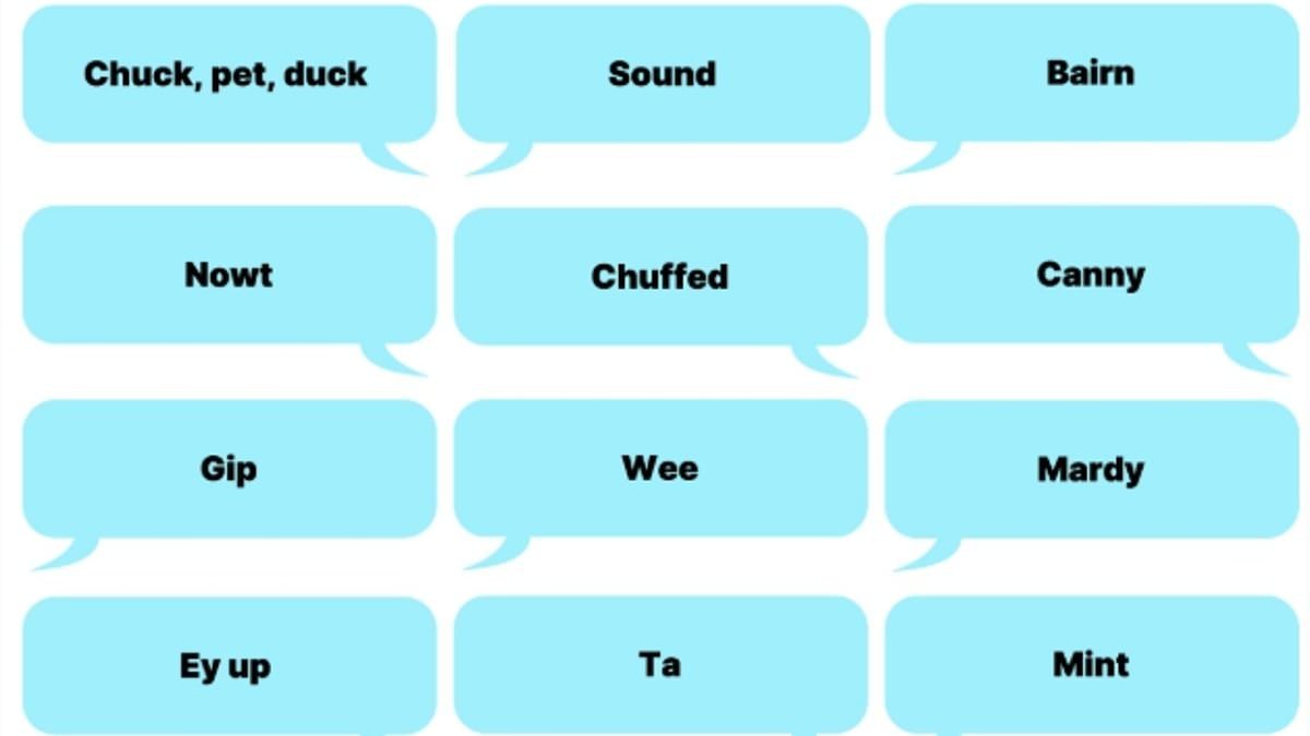 Ey up AI! Scientists are teaching artificial intelligence how to understand UK accents and dialects - so, how many of these regional terms do YOU know?