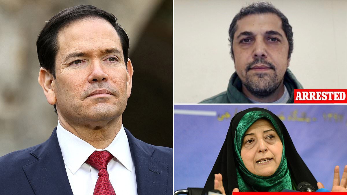 Son and daughter-in-law of Iran's notorious propaganda boss who were caught living luxury life in Los Angeles are ARRESTED