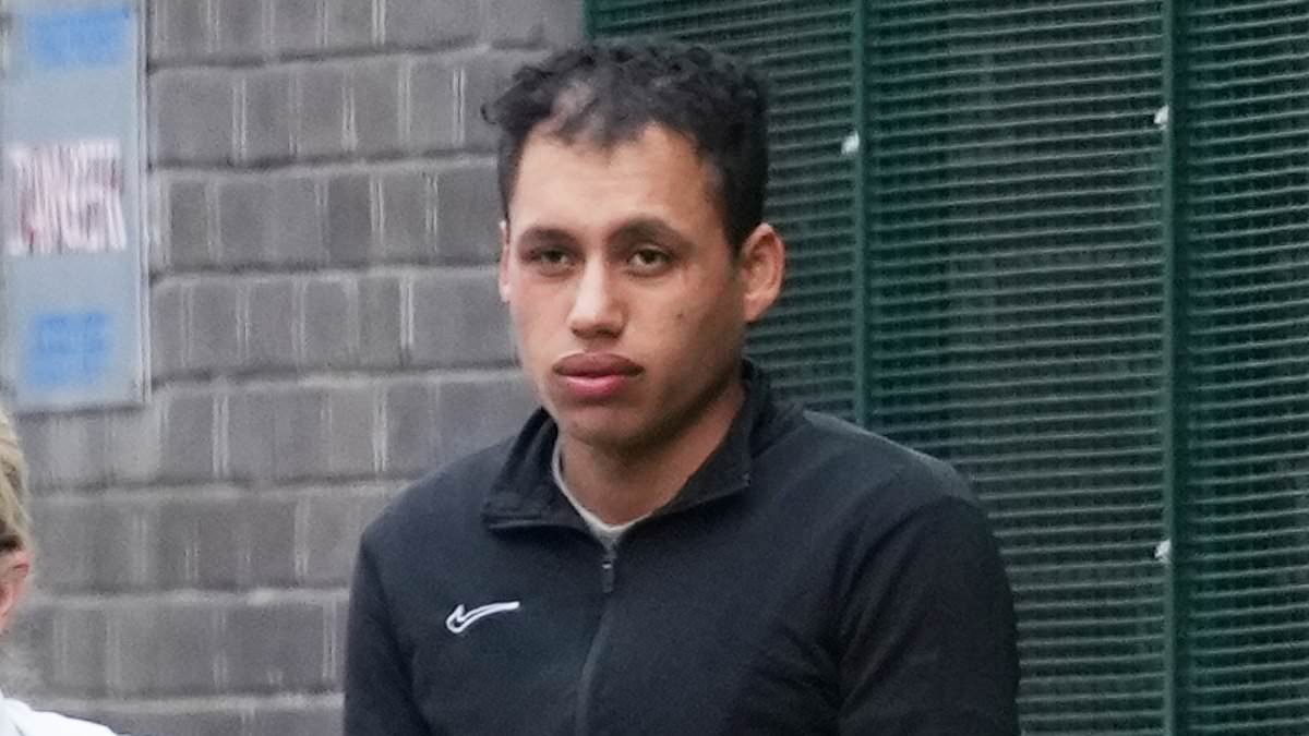 Asylum seeker 'told friend "you are an animal" after watching him spit in woman's face after raping her on Brighton beach', court hears