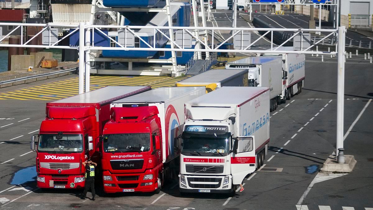 Two 'Albanian gangsters' are caught in the back of a lorry trying to enter Britain 'with gun and silencer'