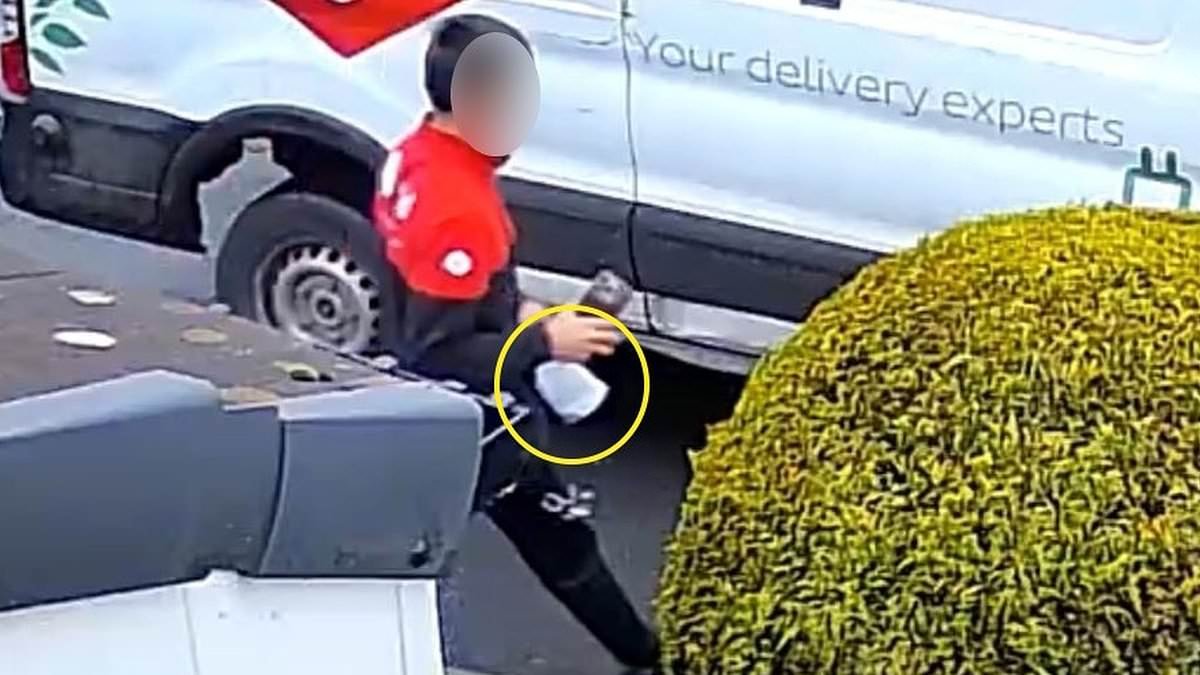 Moment brazen DPD driver PRETENDS to deliver £1,200 iPhone but keeps it for himself instead - as he is sacked after outraged customer spoke out