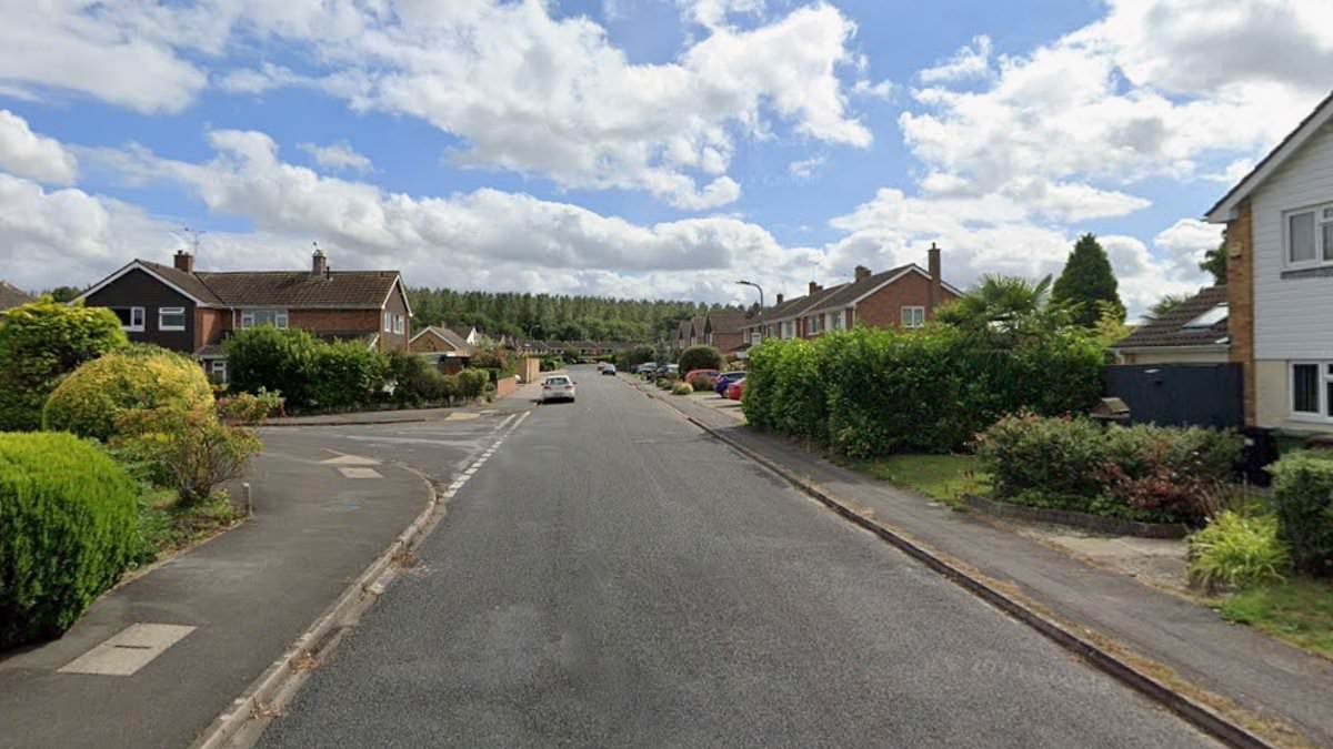 Afghanistan national, 39, is charged with kidnap, rape and sex assault after women 'attacked'