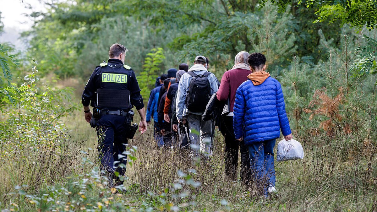 Germany sees migrant numbers halve to its lowest level in more than a decade after Chancellor Merz imposed tough new border controls