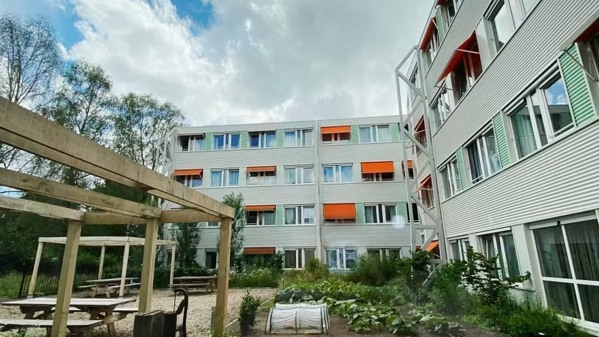 Students were raped after being forced to live in complex alongside 125 refugees to 'aid integration': Terrified Dutch youngsters were subjected to years of sex assaults and violence