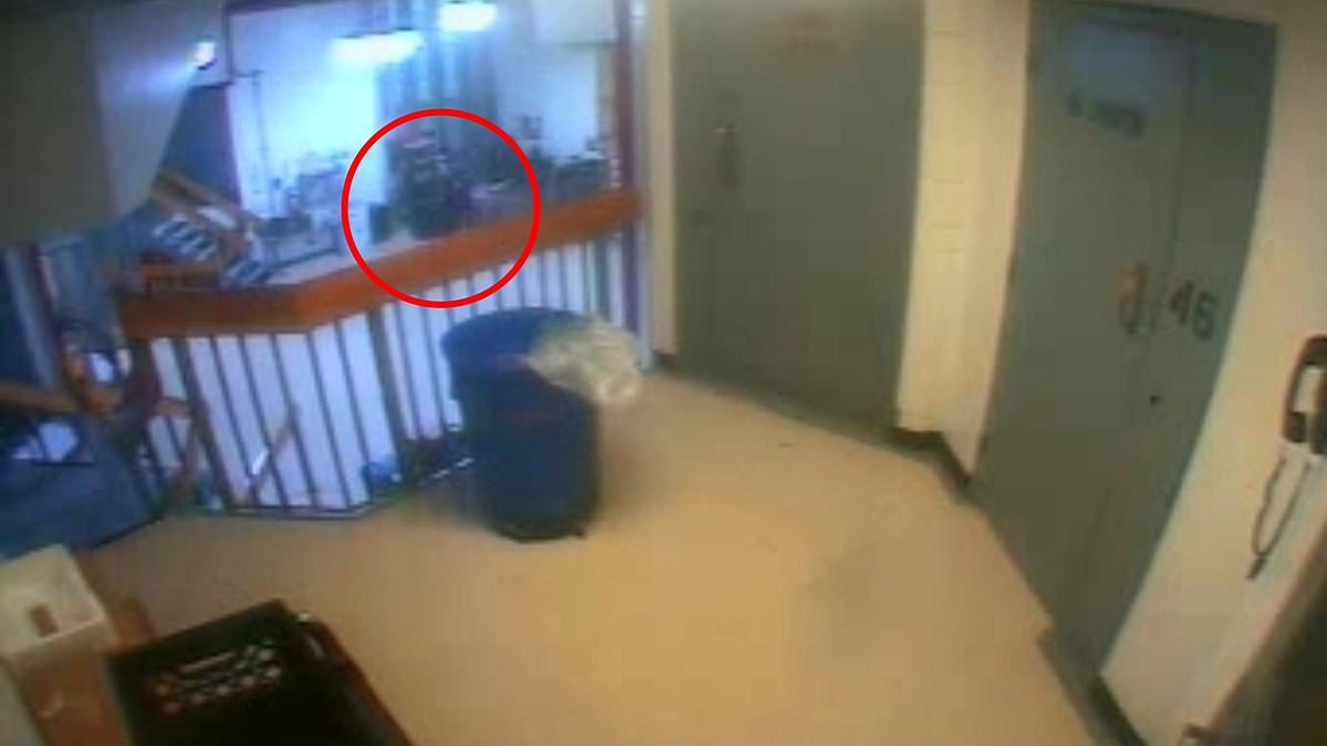 The moment prison guards find Epstein dead: Never-before-seen footage shows guards running back and forth after paedophile's corpse is discovered