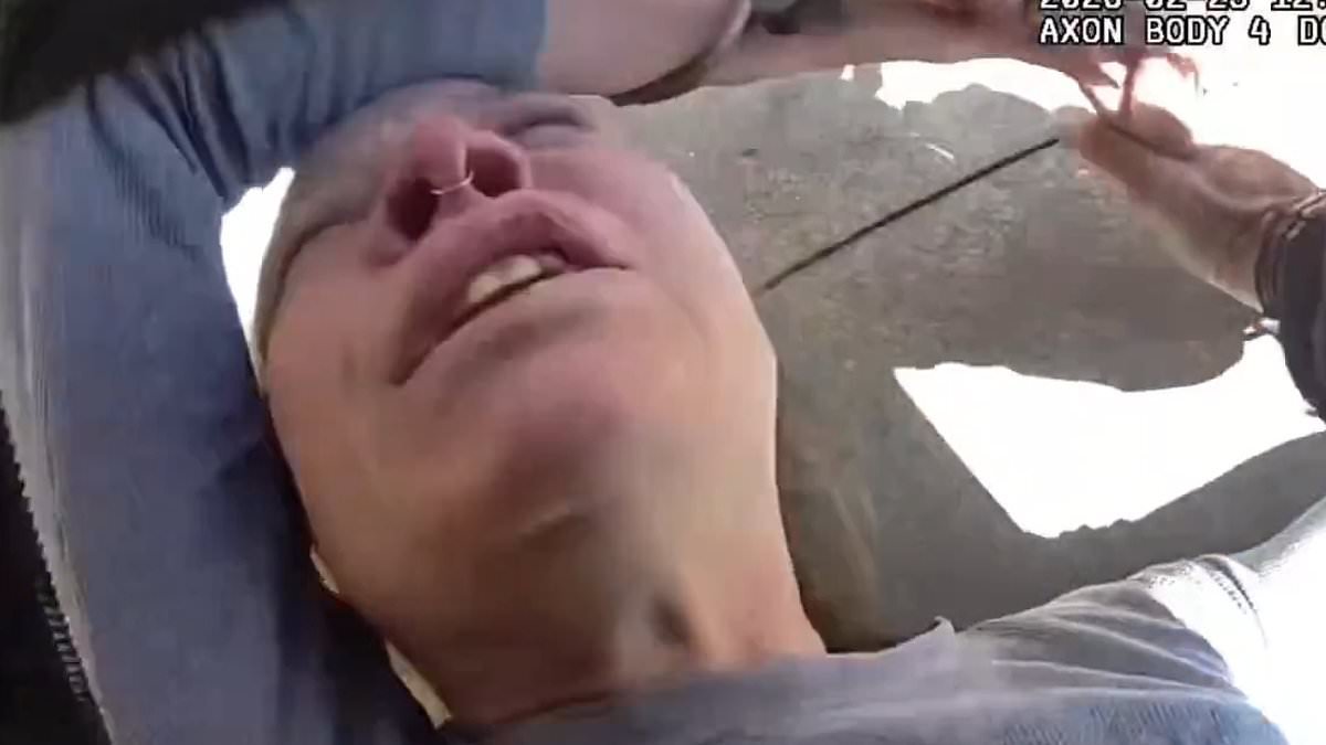 Shocking moment Florida woman beats pregnant driver and attacks elderly bystander before BITING cop in horror road rage outburst