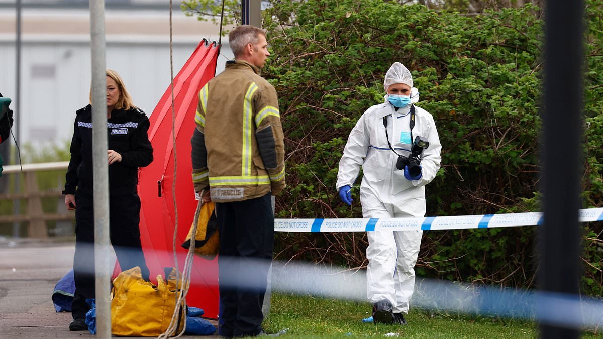 Man, in his 20s, is arrested on suspicion of murder after body found in garden