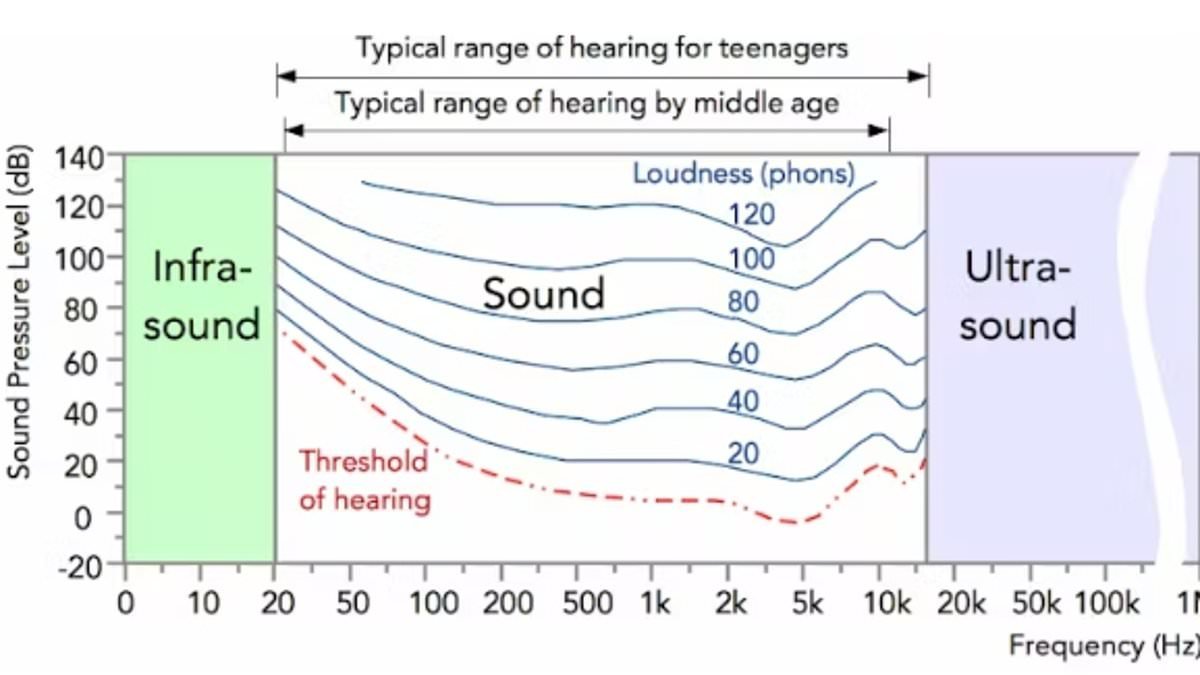 The science of Trump's mysterious 'Discombobulator': How sonic weapons use inaudible sounds to disorient or injure targets