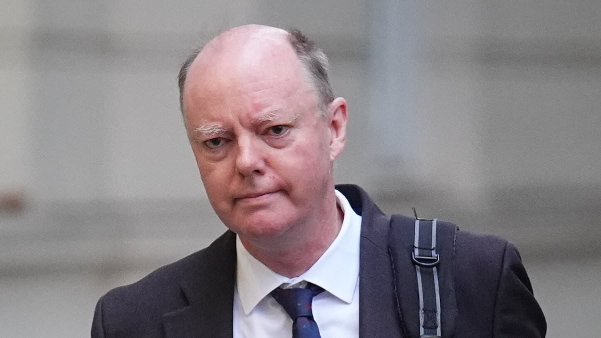 Drink BLEACH and low alcohol beers to survive a national blackout: Sir Chris Whitty's bizarre survival tips