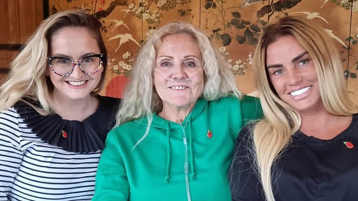 Katie Price's family are 'stunned' by her engagement to entrepreneur Lee Andrews who they have 'never met' and fear she's 'moving too fast' weeks after her split from JJ Slater