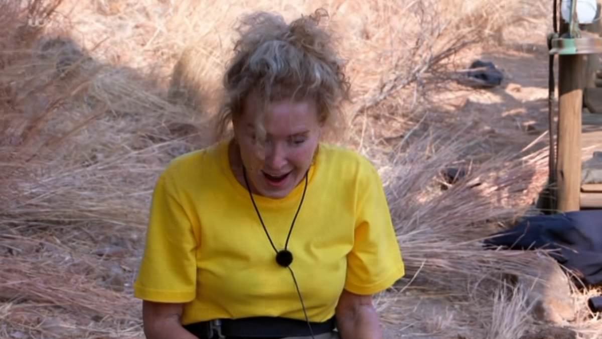 Beverley Callard leaves I'm A Celebrity fans blushing with X-rated 'mile-high club' quip - as stunned Adam Thomas gasps 'what's going on?!'