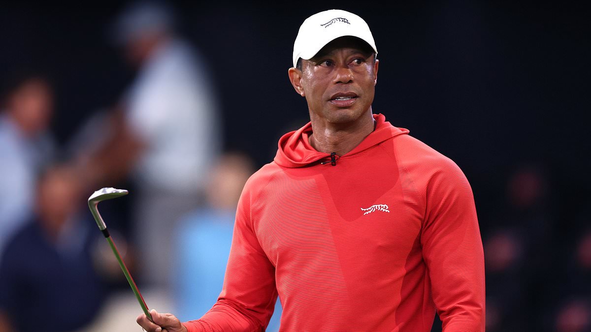 Tiger Woods' bleary-eyed mugshot released after DUI arrest