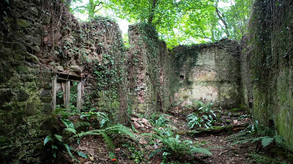 Iconic cottage that backdropped Bryan Adams's 90s hit music video (Everything I Do) I Do It for You goes up for sale for just £50,000