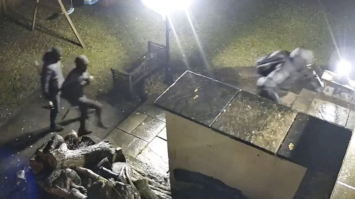 Sledgehammer-wielding gang smashed way into wealthy couple's home and stole £1million of designer clothes and watches