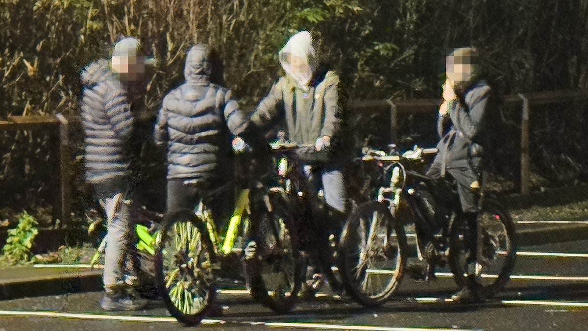 The quiet community who can no longer leave their homes on the weekend because their town is overrun by 'feral' teens