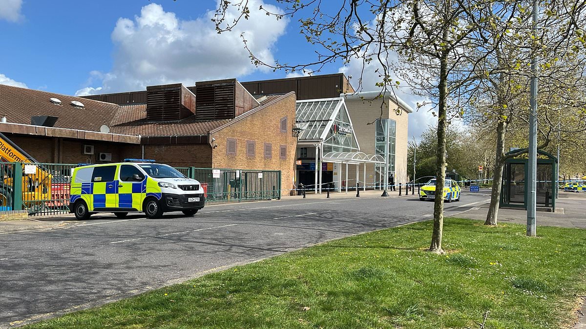 Four teenagers arrested after 16-year-old boy stabbed to death near shopping centre