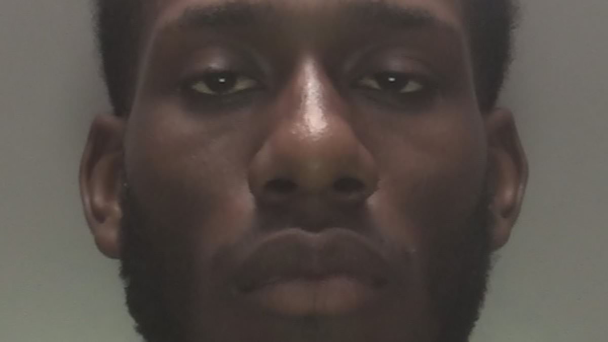 Moment killer laughs to police after stamping to death mother who tried to help him following car crash