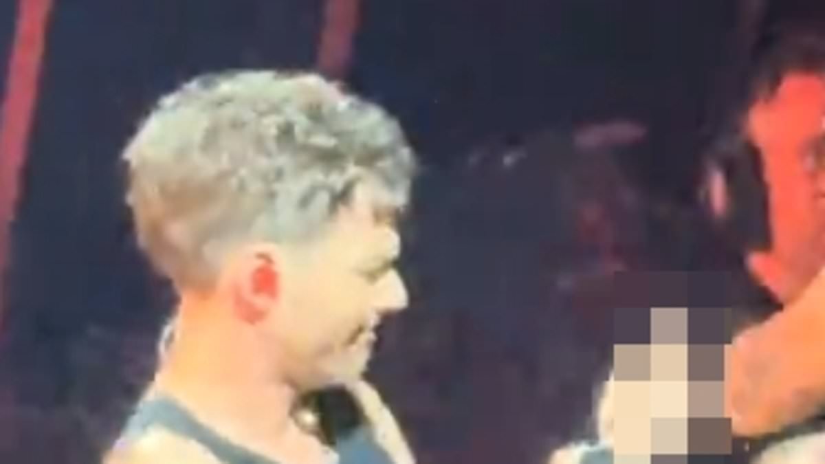 Louis Tomlinson looks furious as a female concert-goer grabs at his shirt during gig as fans criticise crowd's lack of 'basic human respect'