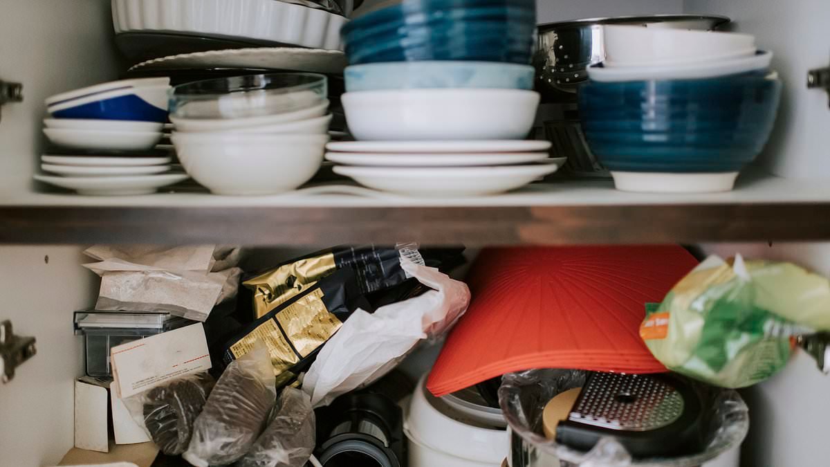 Are you embarrassed about what's behind your kitchen cupboards? Here are the little-known storage hacks people with posh kitchens have