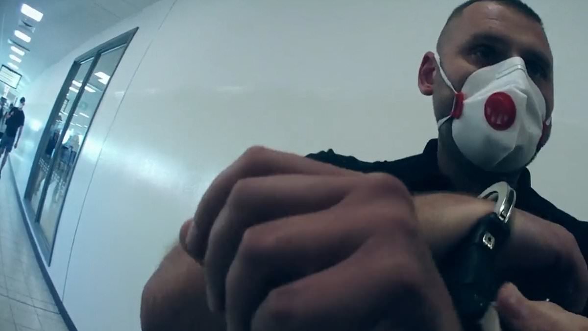 Moment Polish drug smuggler who flooded the streets with cocaine is arrested getting off the plane at British airport - as police quip 'at least you get to beat the queues'