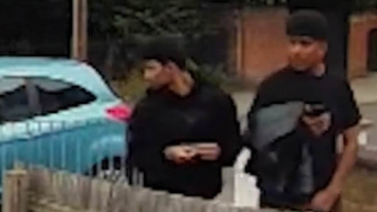 Afghan man accused of strangling 12-year-old girl before she was 'raped' by his friend has 'lied' about his actions and intentions on the night, prosecutor says