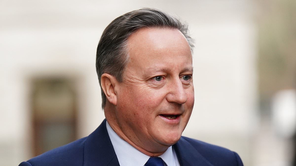 Greensill leak by Government agency 'to protect David Cameron'