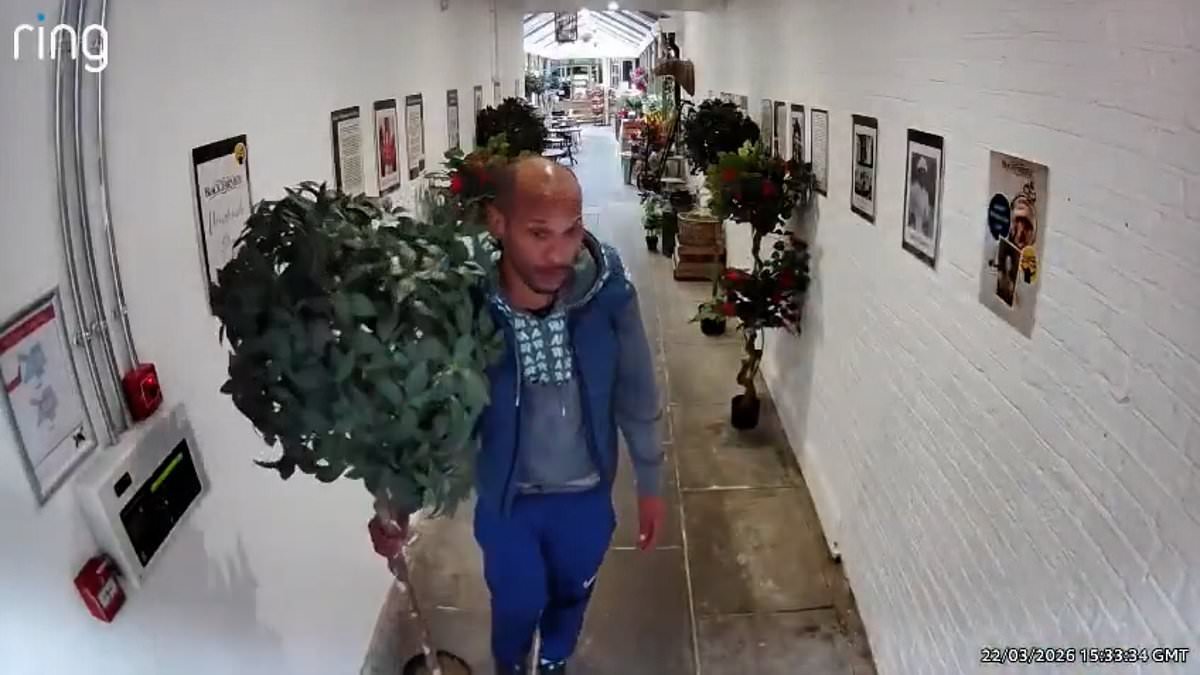 'The Black Farmer' blasts brazen shoplifters for repeatedly raiding his stores and threatening his staff  - as he accuses police of letting criminals get away with 'extortion'