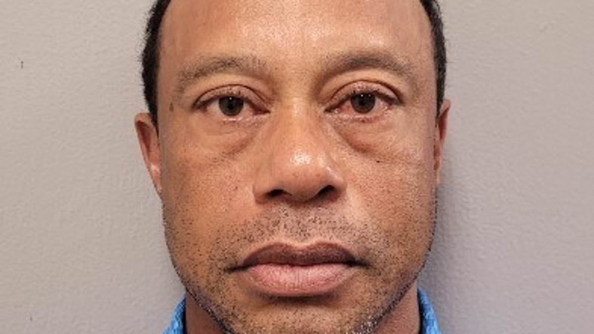 Tiger Woods should NEVER play golf again, top analyst claims after latest car crash and DUI arrest: 'Keeps hurting himself'