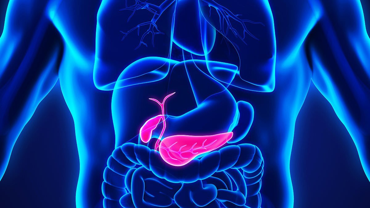 Huge pancreatic cancer breakthrough as scientists achieve 'permanent disappearance' of disease with new triple-threat approach tested in lab