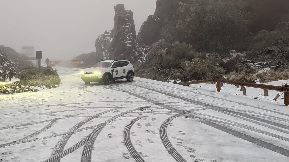 Emergency declared on Canary Islands with 'the worst storm to hit in more than a decade' brings severe weather and even snow