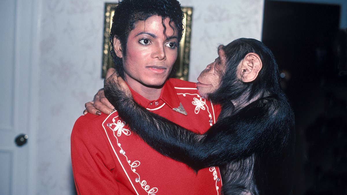 Michael Jackson's chimp Bubbles used to party with rock stars all night but new photos show him enjoying quiet retirement in Florida where he's in bed by 6pm