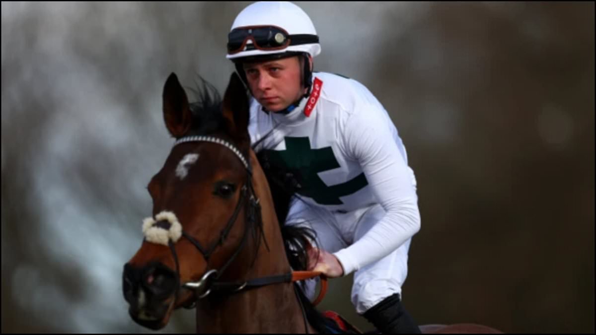 Newmarket jockey admits killing man, 71, who died 10 days after brawl outside town pub