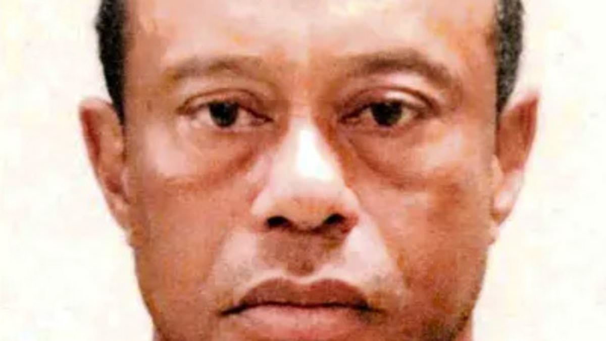Tiger Woods captured in inmate uniform in newly-released mugshot as golf hero's jet flees to Zurich amid vow to seek treatment