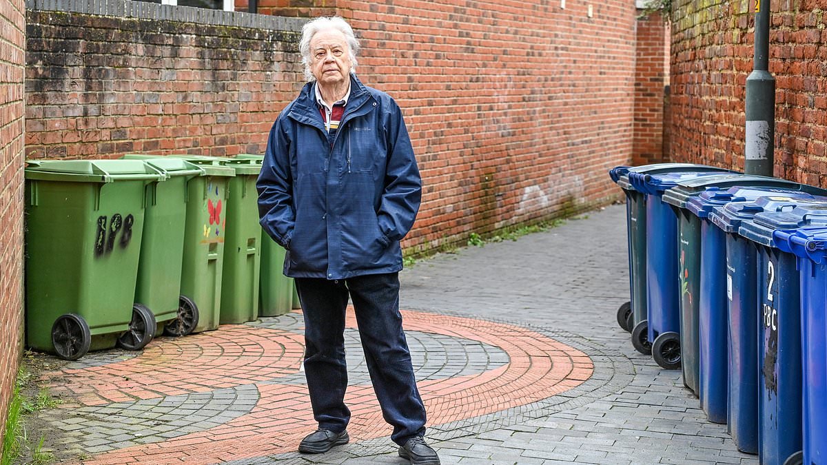 Tourist town could fine residents who leave their bins out because they blight incomers' Instagram-friendly pictures