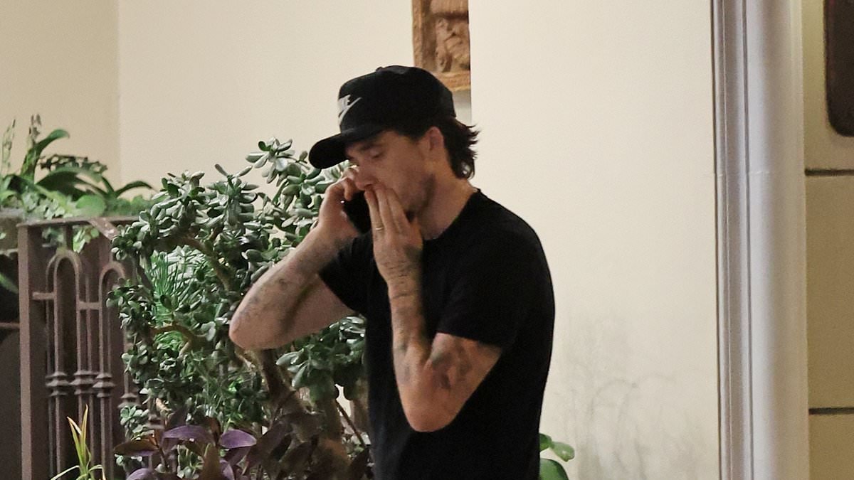 Brooklyn Beckham takes a tense phone call during outing in LA after wife Nicola Peltz's latest 'dig' at mum Victoria amid ongoing family feud