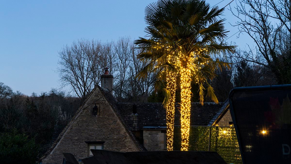 Uproar on Britain's 'prettiest street' after family behind 'warzone' renovation cover palm trees in lights - as neighbours moan 'this is the Cotswolds, not Dubai'