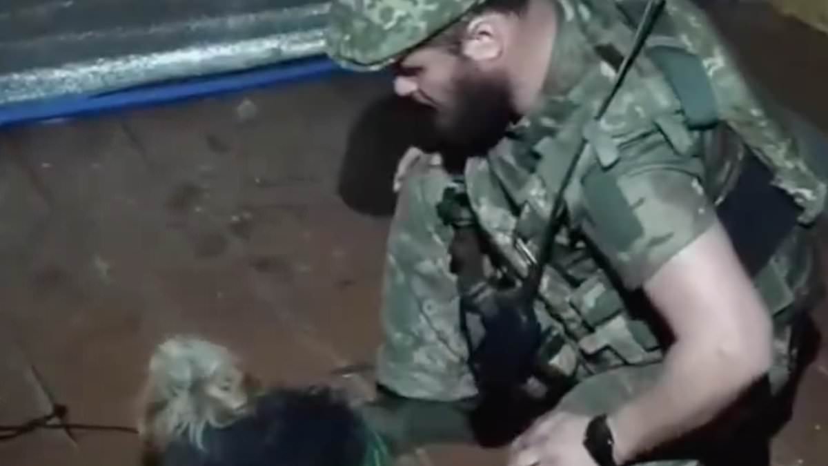 Cat and dog 'are flown to safety by Ukrainian drone to save them from advancing Russian troops'