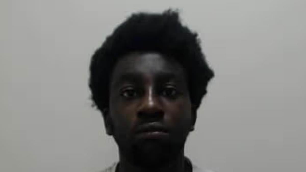 Nigerian migrant who raped 19-year-old girl was not deported after previous sexually-motivated attack 'to protect his right to family life'